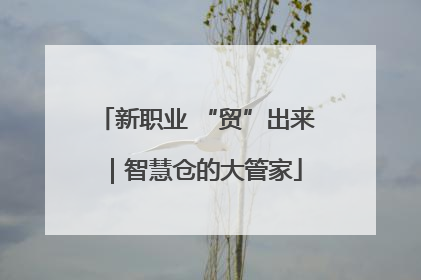新职业 “贸”出来｜智慧仓的大管家