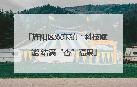 旌阳区双东镇：科技赋能 结满“杏”福果
