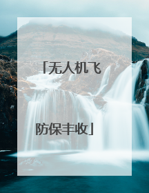 无人机飞防保丰收