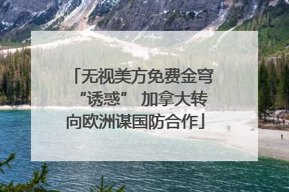 无视美方免费金穹“诱惑” 加拿大转向欧洲谋国防合作
