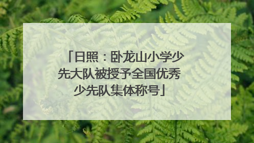 日照：卧龙山小学少先大队被授予全国优秀少先队集体称号