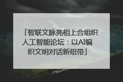 智联文脉亮相上合组织人工智能论坛：以AI编织文明对话新纽带