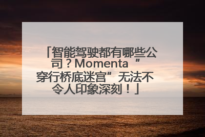 智能驾驶都有哪些公司？Momenta“穿行桥底迷宫”无法不令人印象深刻！