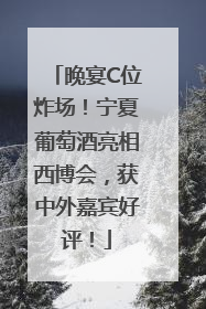 晚宴C位炸场！宁夏葡萄酒亮相西博会，获中外嘉宾好评！