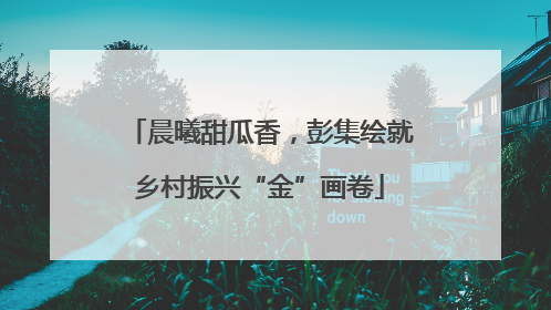 晨曦甜瓜香，彭集绘就乡村振兴“金”画卷