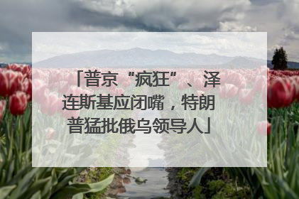 普京“疯狂”、泽连斯基应闭嘴，特朗普猛批俄乌领导人