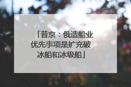 普京：俄造船业优先事项是扩充破冰船和冰级船