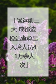 暑运前三天 成都边检站查验出入境人员4.1万余人次