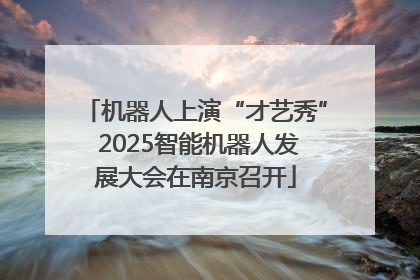 机器人上演“才艺秀” 2025智能机器人发展大会在南京召开
