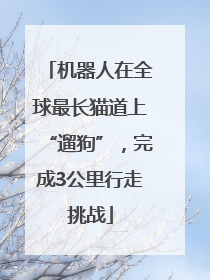 机器人在全球最长猫道上“遛狗”，完成3公里行走挑战