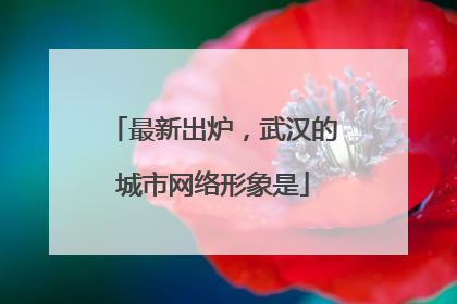 最新出炉，武汉的城市网络形象是