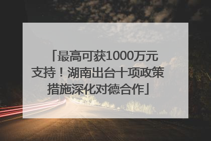 最高可获1000万元支持！湖南出台十项政策措施深化对德合作
