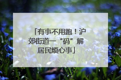 有事不用跑！沪郊街道一“码”解居民烦心事