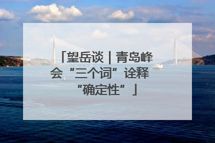 望岳谈｜青岛峰会“三个词”诠释“确定性”