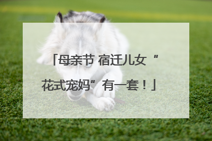 母亲节 宿迁儿女“花式宠妈”有一套！