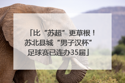 比“苏超”更草根！苏北县城“男子汉杯”足球赛已连办35届
