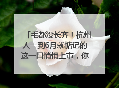 毛都没长齐！杭州人一到6月就惦记的这一口悄悄上市，你打算尝鲜吗？