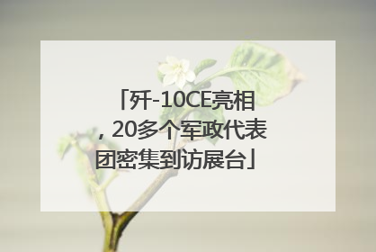 歼-10CE亮相，20多个军政代表团密集到访展台