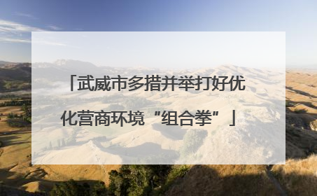 武威市多措并举打好优化营商环境“组合拳”