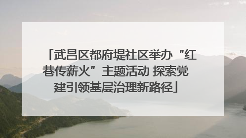 武昌区都府堤社区举办“红巷传薪火”主题活动 探索党建引领基层治理新路径