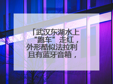 武汉东湖水上“跑车”走红，外形酷似法拉利且有蓝牙音箱，负责人：高峰期一两百人排队