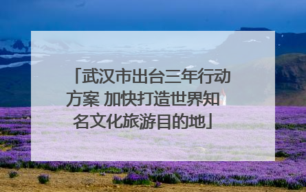 武汉市出台三年行动方案 加快打造世界知名文化旅游目的地
