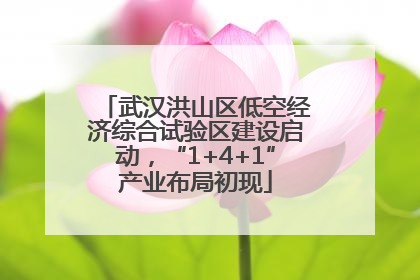 武汉洪山区低空经济综合试验区建设启动，“1+4+1”产业布局初现