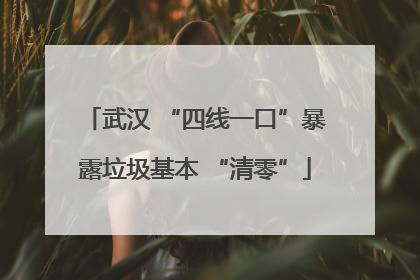 武汉 “四线一口”暴露垃圾基本 “清零”