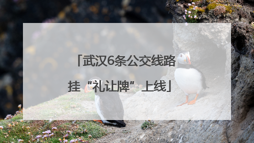 武汉6条公交线路挂“礼让牌”上线
