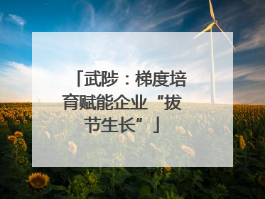 武陟：梯度培育赋能企业“拔节生长”