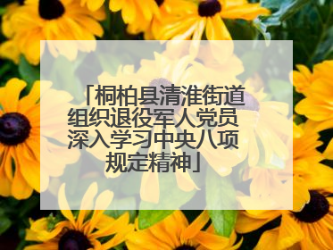 桐柏县清淮街道组织退役军人党员深入学习中央八项规定精神
