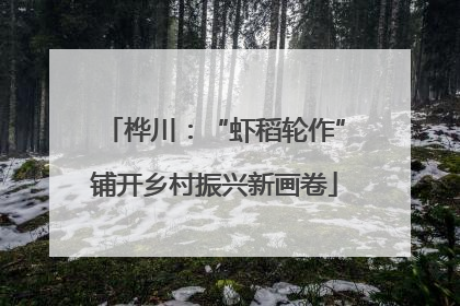 桦川：“虾稻轮作”铺开乡村振兴新画卷