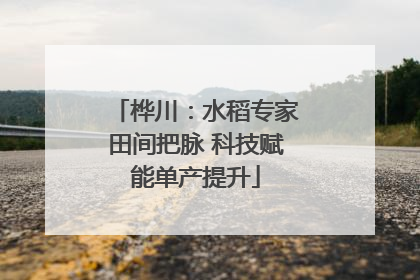 桦川：水稻专家田间把脉 科技赋能单产提升