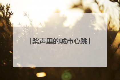桨声里的城市心跳