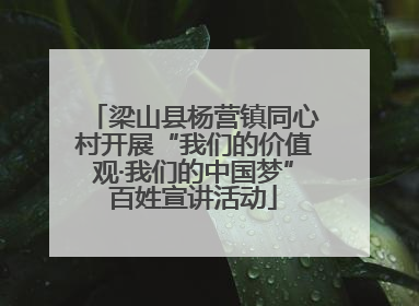 梁山县杨营镇同心村开展“我们的价值观·我们的中国梦”百姓宣讲活动
