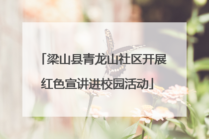梁山县青龙山社区开展红色宣讲进校园活动