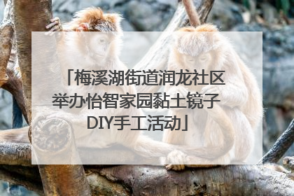梅溪湖街道润龙社区举办怡智家园黏土镜子DIY手工活动
