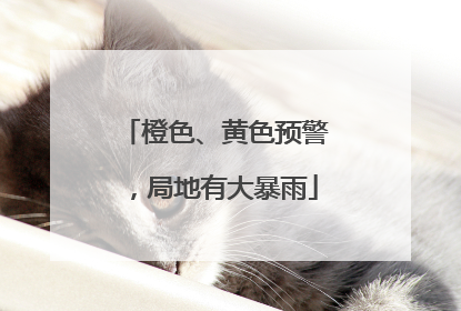 橙色、黄色预警，局地有大暴雨