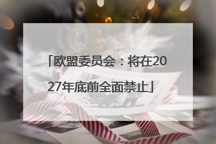 欧盟委员会：将在2027年底前全面禁止