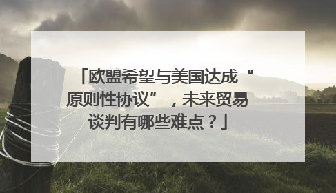 欧盟希望与美国达成“原则性协议”，未来贸易谈判有哪些难点？