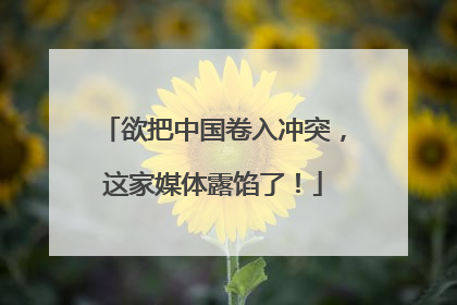 欲把中国卷入冲突，这家媒体露馅了！