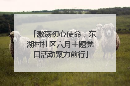 激荡初心使命，东湖村社区六月主题党日活动聚力前行