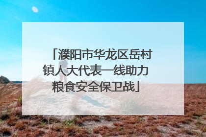 濮阳市华龙区岳村镇人大代表一线助力粮食安全保卫战