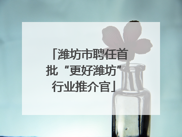 潍坊市聘任首批“更好潍坊”行业推介官