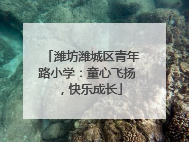 潍坊潍城区青年路小学：童心飞扬，快乐成长