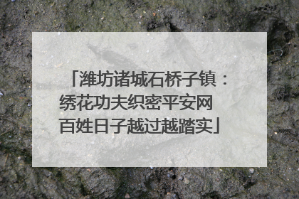潍坊诸城石桥子镇：绣花功夫织密平安网 百姓日子越过越踏实