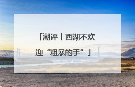 潮评丨西湖不欢迎“粗暴的手”