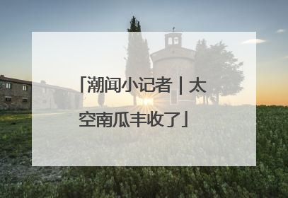 潮闻小记者｜太空南瓜丰收了