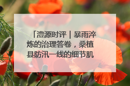 澧源时评｜暴雨淬炼的治理答卷，桑植县防汛一线的细节肌理与体系力量