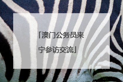 澳门公务员来宁参访交流